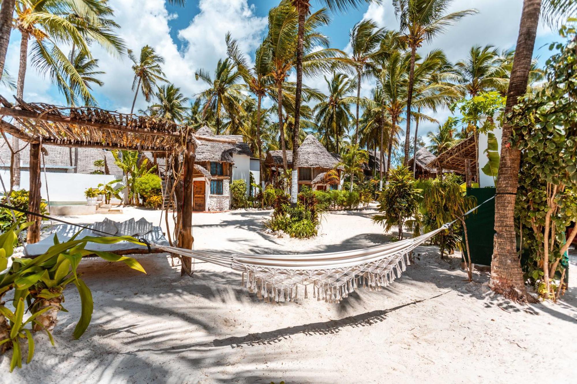 Maisha Matamu Beach Hotel Paje Esterno foto