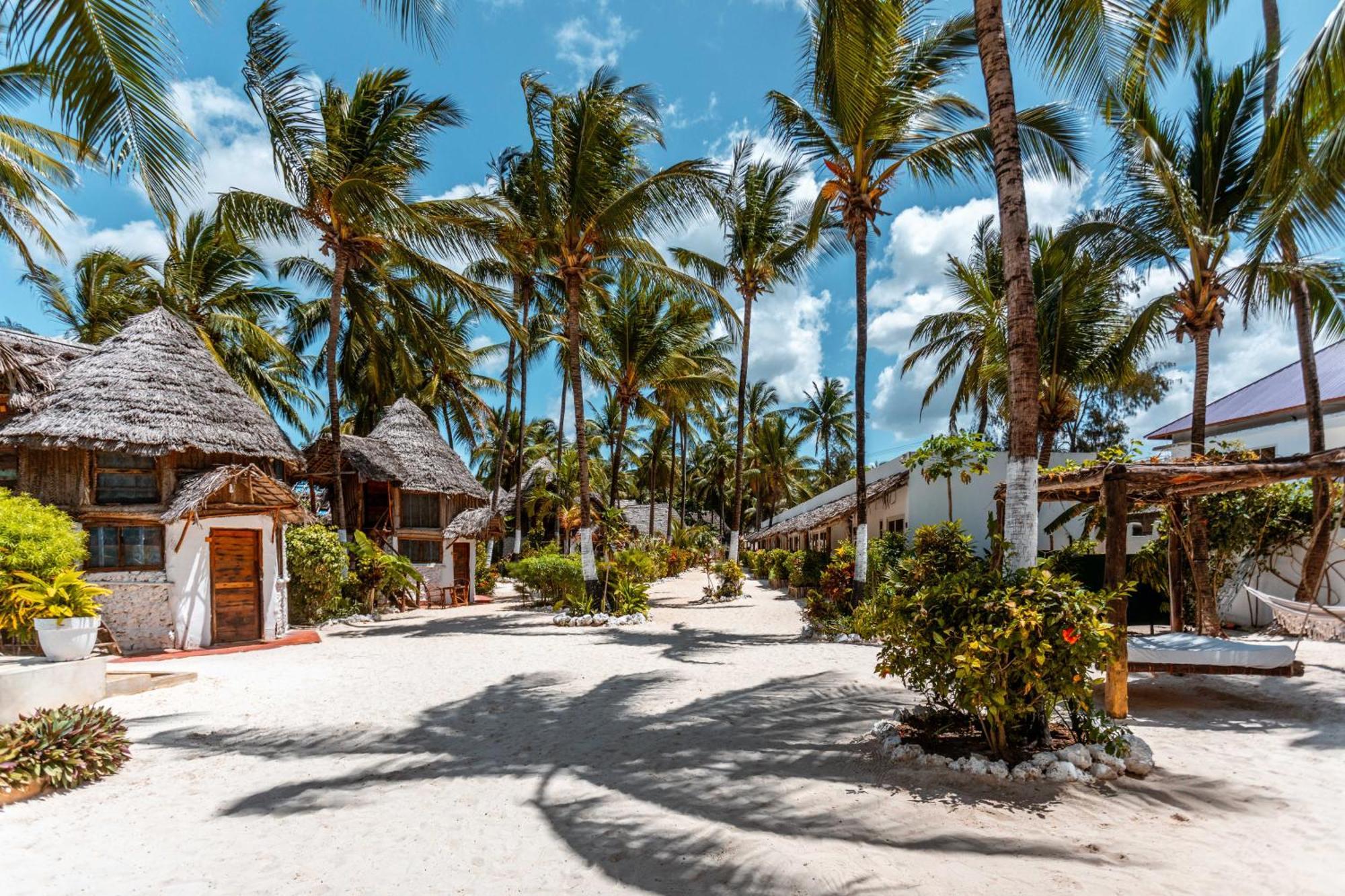Maisha Matamu Beach Hotel Paje Esterno foto